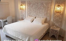 Hotel Valledupar Plaza